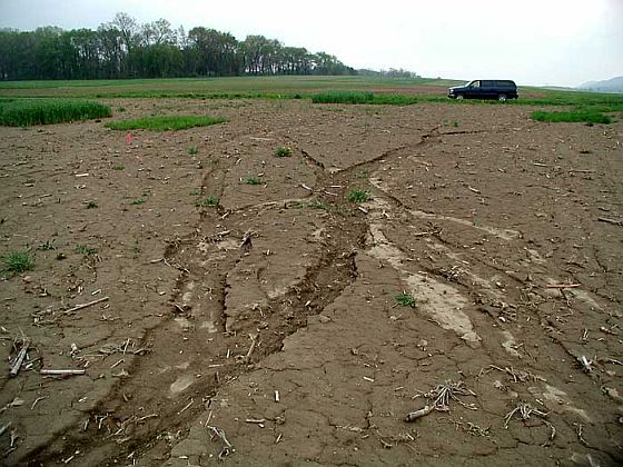 How Soil Depletion Is Putting The Global Food Supply In Jeopardy War 