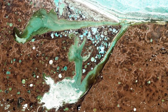 Omulyakhskaya and Khromskaya Bays lie along the northern Siberian coast, where permafrost blankets the land around the bays. Photo: NASA Earth Observatory
